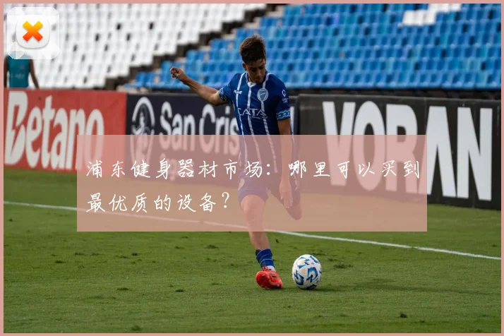 浦东健身器材市场：哪里可以买到最优质的设备？